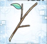 シロッテの枝_icon.jpg