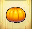 白いところをとったミカン_icon.jpg